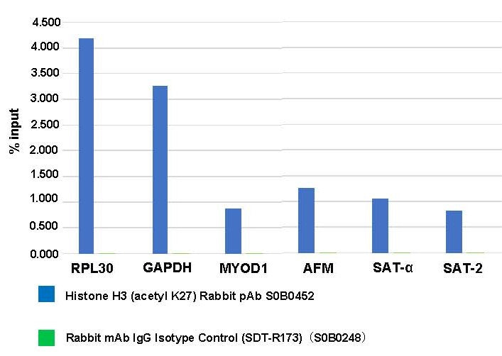 Histone H3 (acetyl K27) Rabbit pAb