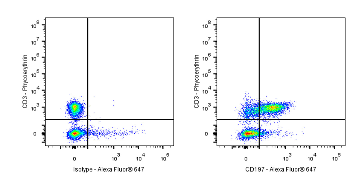 Alexa Fluor® 647 Rat Anti-Mouse CD197 (CCR7) Antibody (4B12)