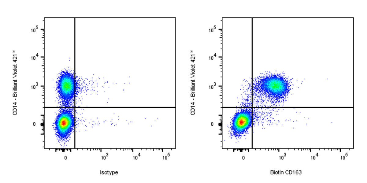 Biotin Rabbit Anti-Human CD163 Antibody (S-222-171)