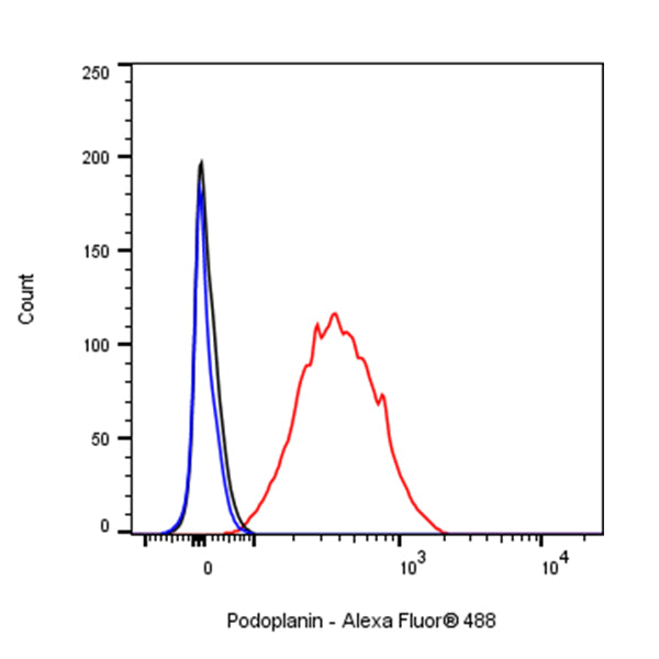 Alexa Fluor® 488 Syrian Hamster Anti-Mouse Podoplanin Antibody (8.1.1)