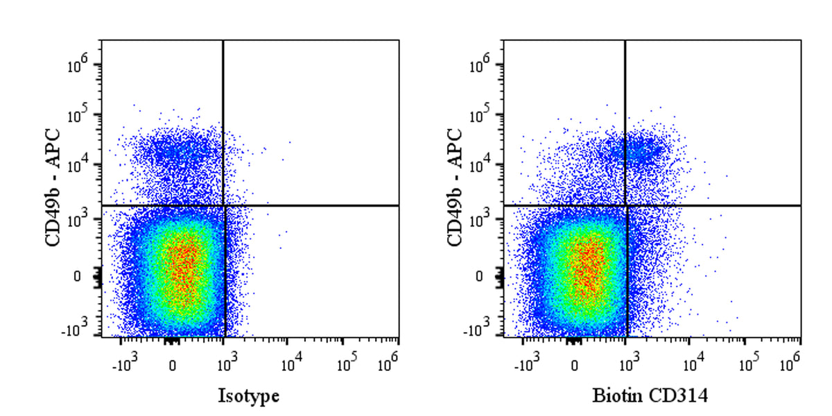Biotin Rat Anti-Mouse CD314 Antibody (CX5)