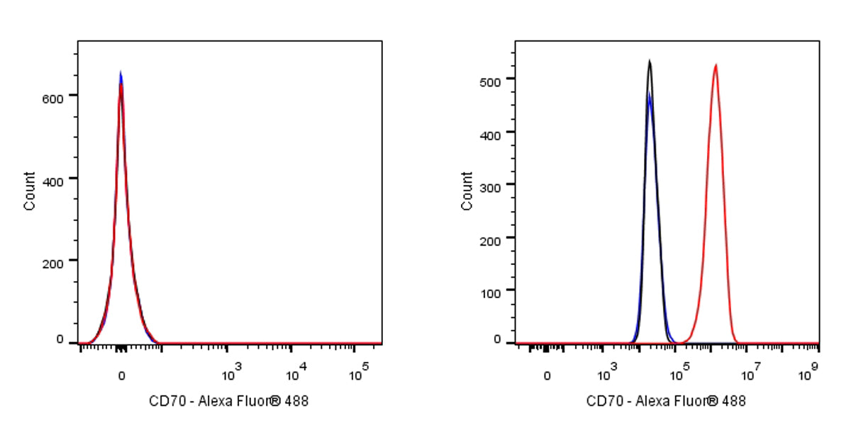 Alexa Fluor® 488 Mouse Anti-Human CD70 Antibody (Ki-24)