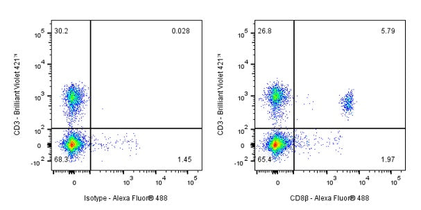 Invivo anti-mouse CD8β (Lyt 3.2) Recombinant mAb