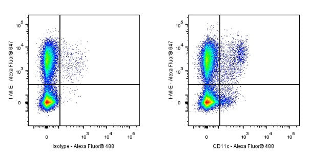 Armenian hamster anti-mouse CD11c antibody (N418)