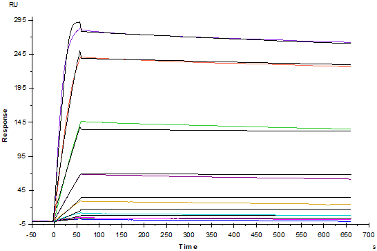 TNF-α Protein, Mouse
