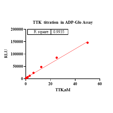 Product image media