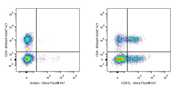 Alexa Fluor® 647 Rat Anti-Mouse CD62L (L-selectin) Antibody (MEL-14)