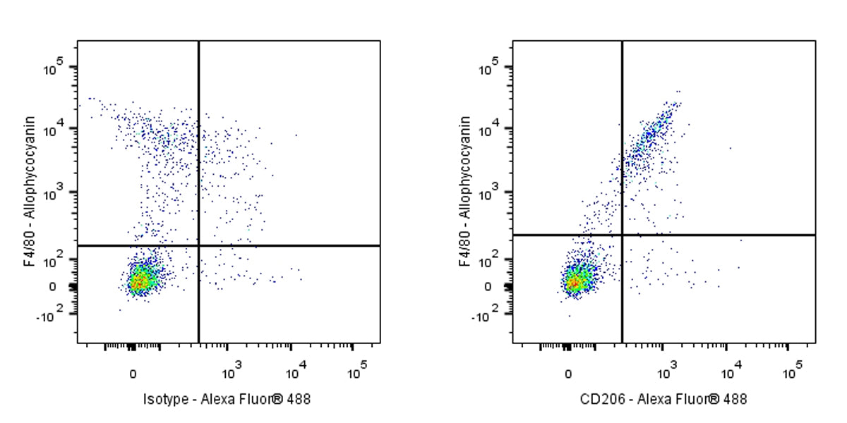 Rat Anti-Mouse CD206 (MMR) Antibody (S-R498)