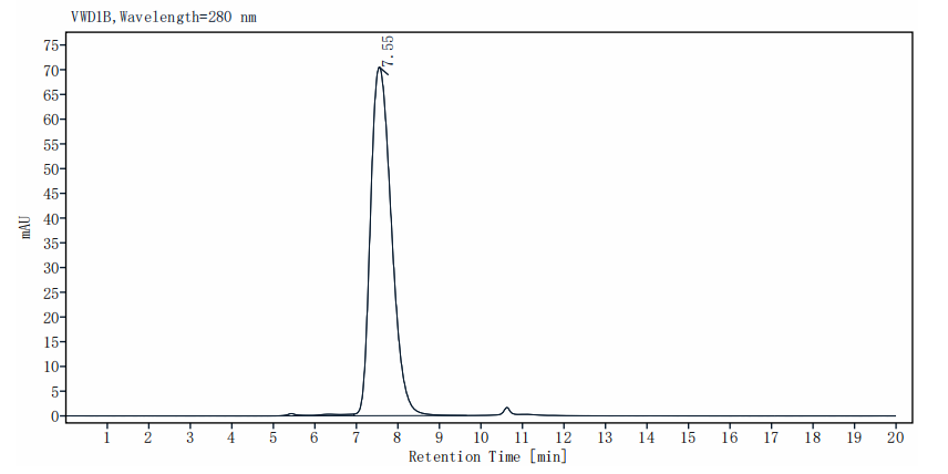 MMP-9 His Tag Protein, Cynomolgus