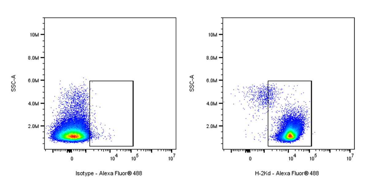 Alexa Fluor® 488 Mouse Anti-Mouse H-2Kd Antibody (SF1-1.1)