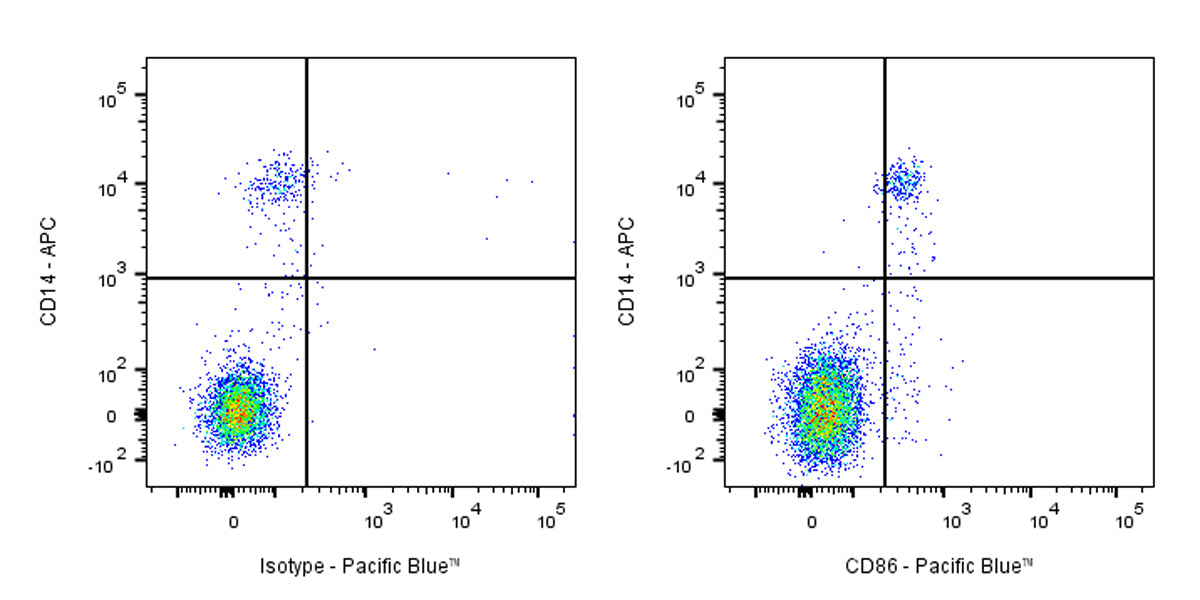 Pacific Blue Mouse Anti-Human CD86 Antibody (IT2.2)