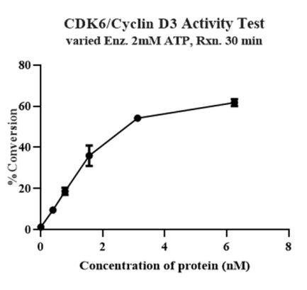 CDK6/Cyclin D3 Protein
