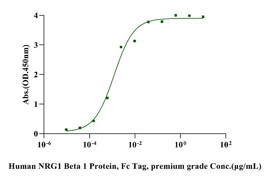 Biotinylated ErbB3/Her3 His&Avi Tag Protein, Human