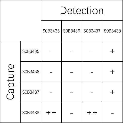CD25/IL-2R alpha Recombinant Rabbit mAb (SDT-161-230)