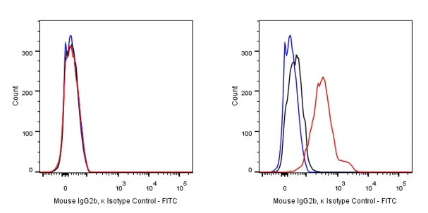 FITC Mouse IgG2b, κ Isotype Control Antibody (S-844-22)