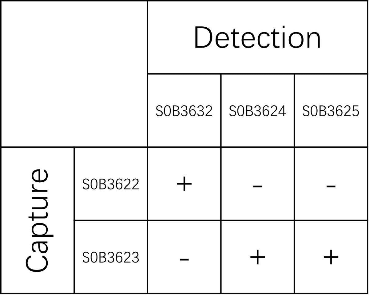 PSD-95 Recombinant Rabbit mAb (SDT-1518-115)
