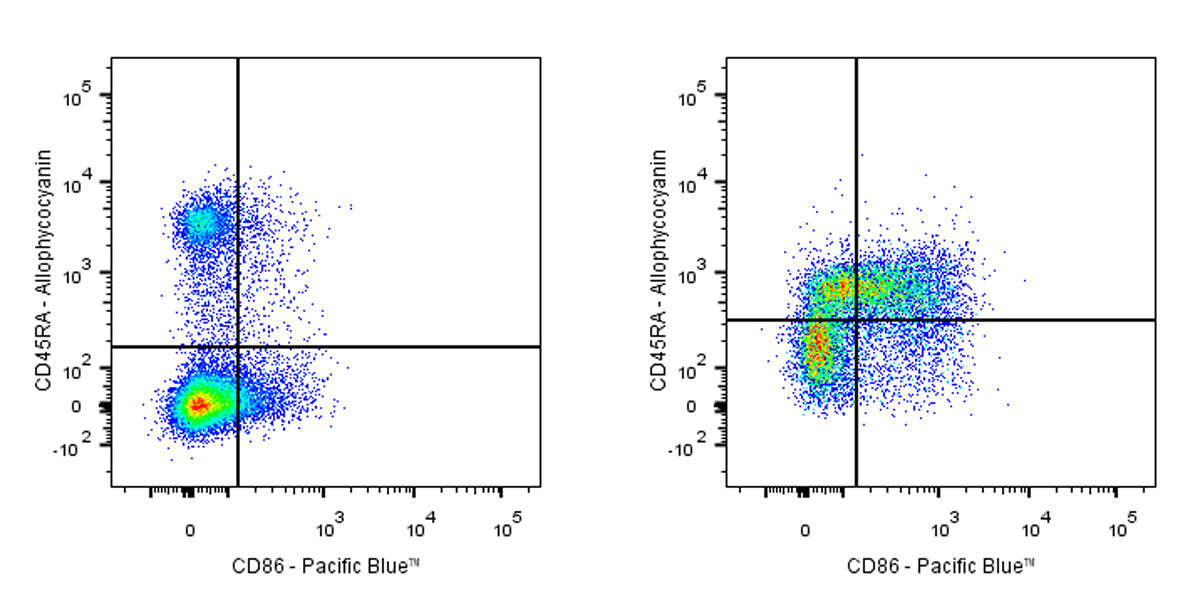 Pacific Blue Mouse Anti-Rat CD86 Antibody (24F)