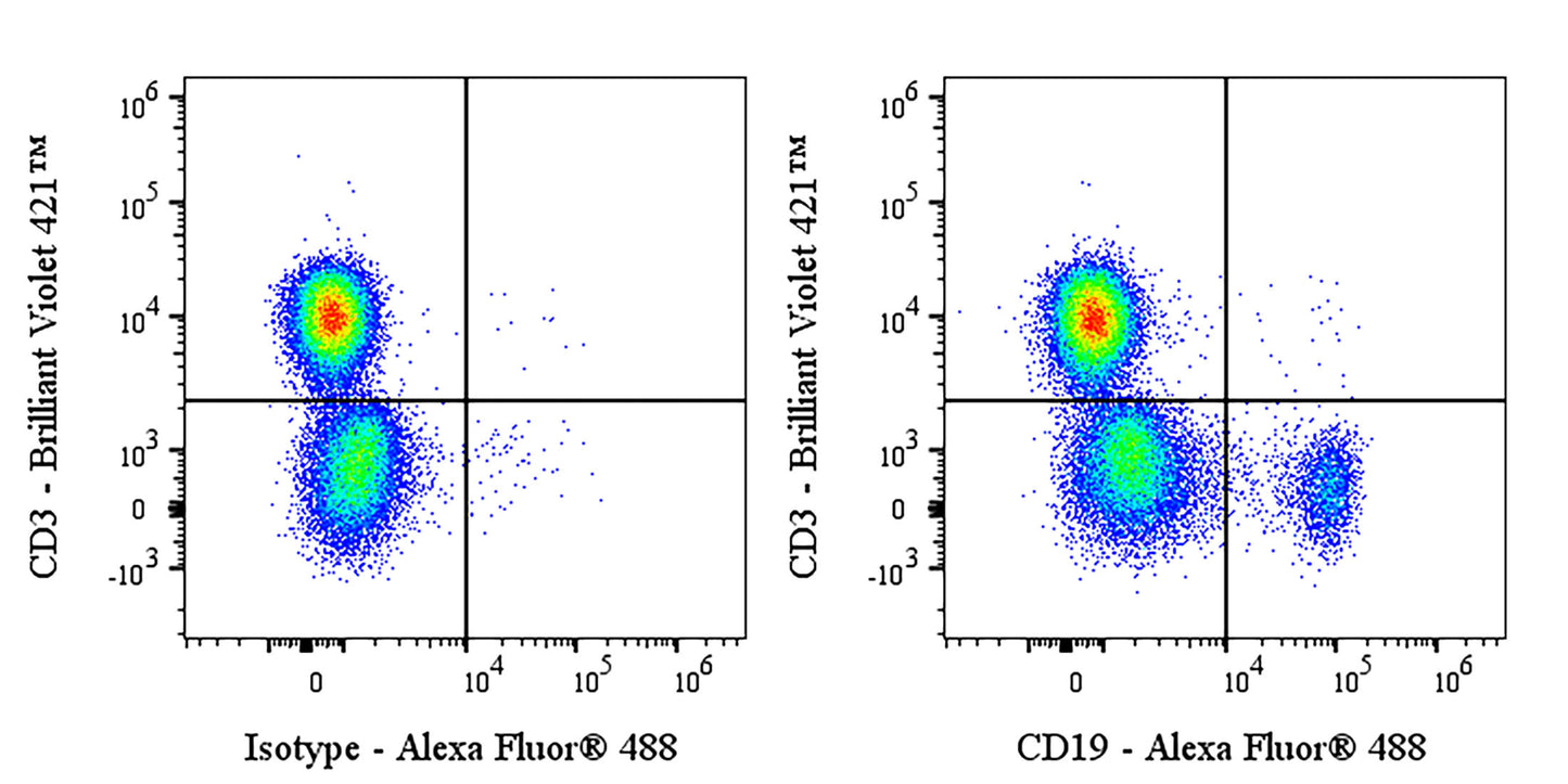 Invivo anti-Human CD19 Recombinant mAb