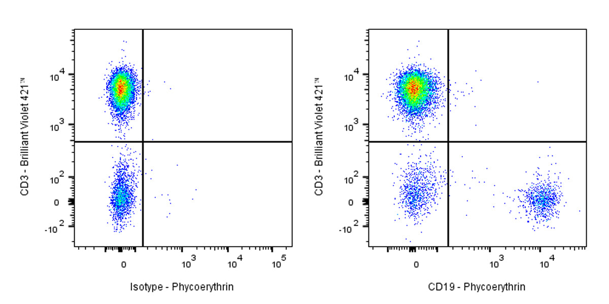 PE Mouse Anti-Human CD19 Antibody (S-R503-2)