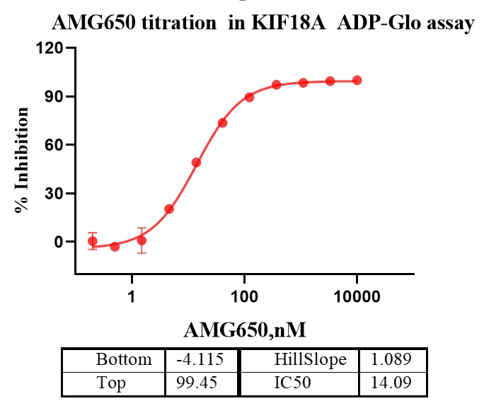 KIF18A Protein