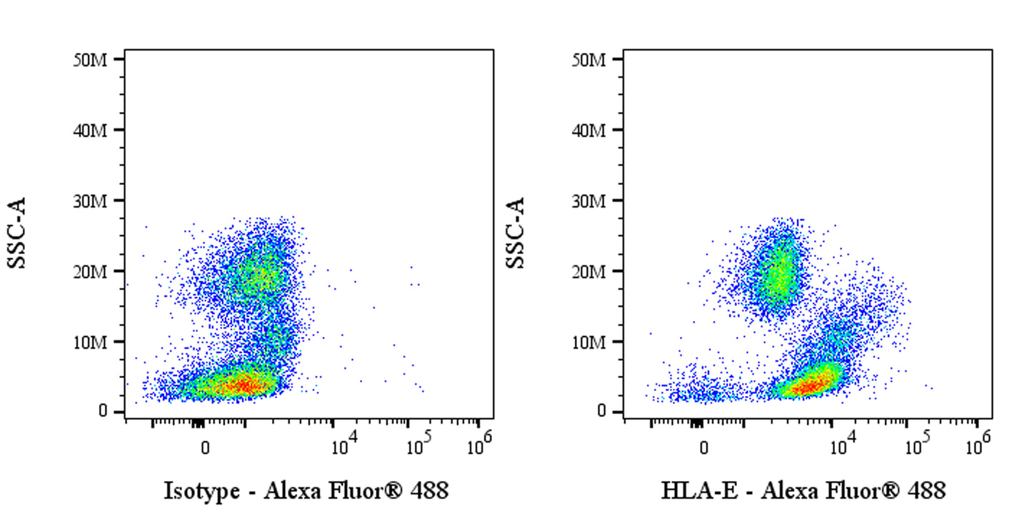Alexa Fluor® 488 Mouse Anti-Human HLA-E Antibody (3D12)