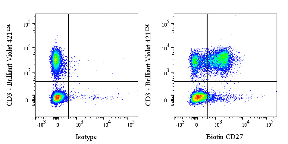 Biotin Rabbit Anti-Human CD27 Antibody (S-1205-49)