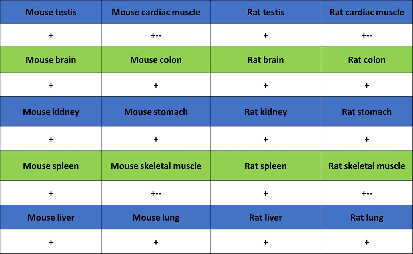 Calreticulin Recombinant Rabbit mAb (S-3920-39)