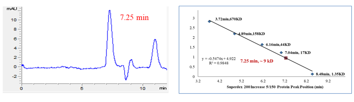 SARM1 Protein, Human