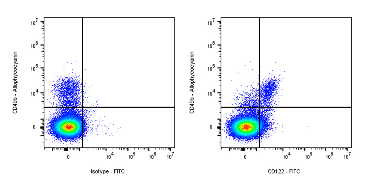 FITC Rat Anti-Mouse CD122 (IL-2Rβ) Antibody (TM-β1)
