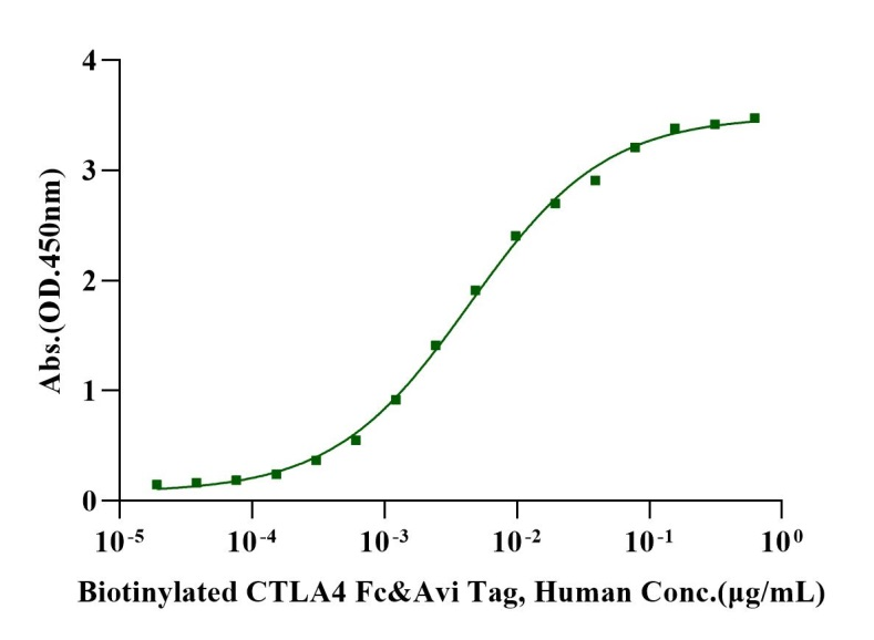 Biotinylated CTLA4 Fc&Avi Tag Protein, Human