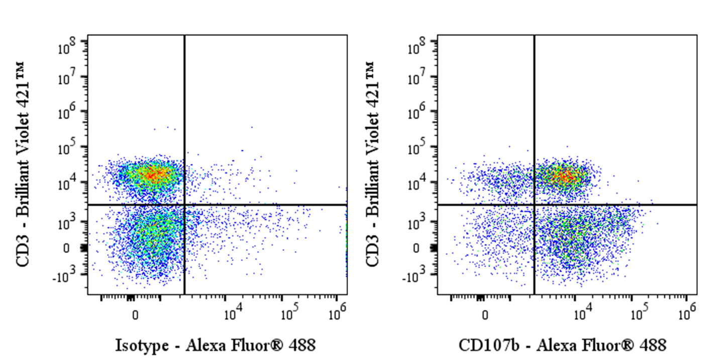 Alexa Fluor® 488 Mouse Anti-Human CD107b/LAMP2 Antibody (H4B4)