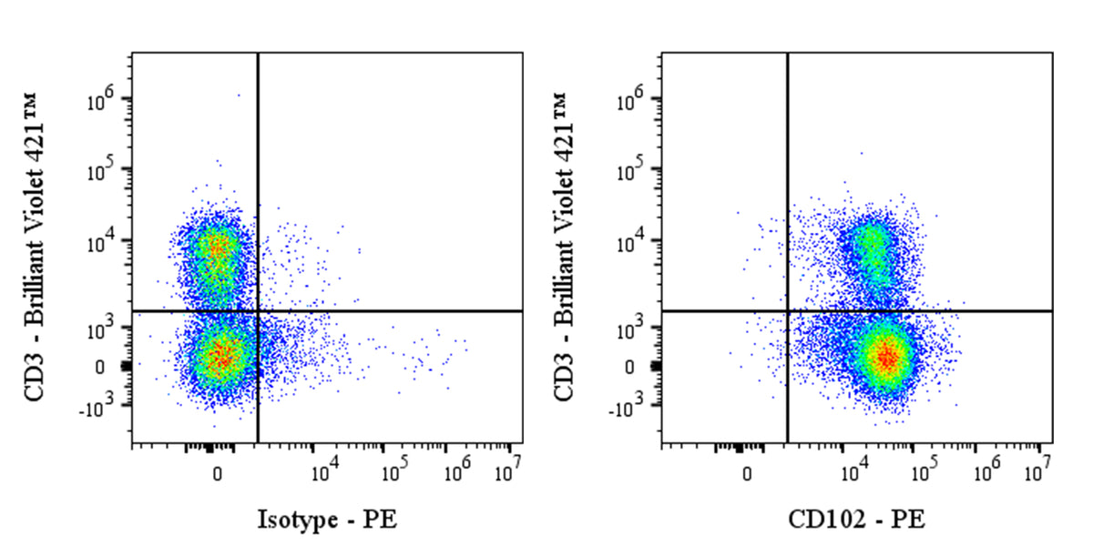 PE Rat Anti-Mouse CD102 Antibody (3C4)