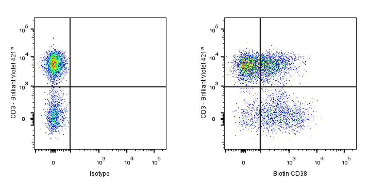Biotin Mouse Anti-Human CD38 Antibody (HB7)