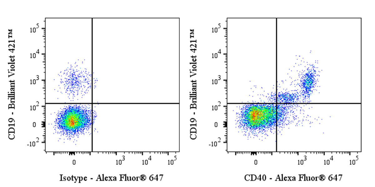 Alexa Fluor® 647 Rabbit Anti-Human CD40 Antibody (S-145-45)