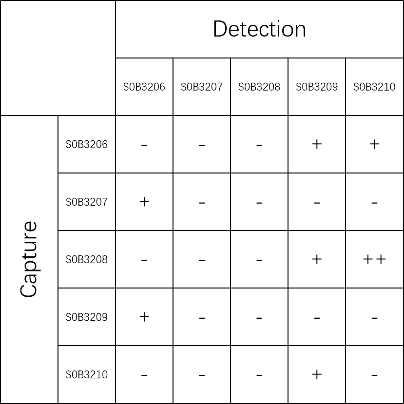 Canine Coronavirus Nucleocapsid (CCoV N) Recombinant Rabbit mAb (SDT-406-37)