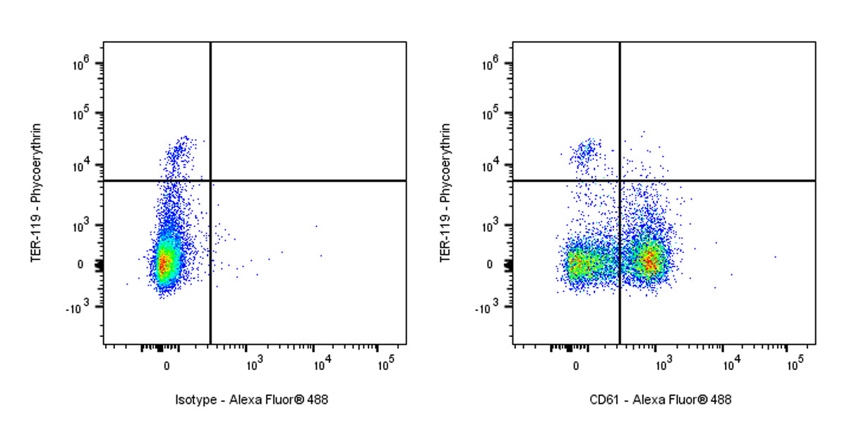 Armenian hamster Anti-Mouse/Rat CD61 Antibody (2C9.G2)
