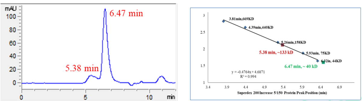 JNK2 (D3K, C6V, S8N, Q14E, K203A, E204A, K250A,
K251A) Protein, Human