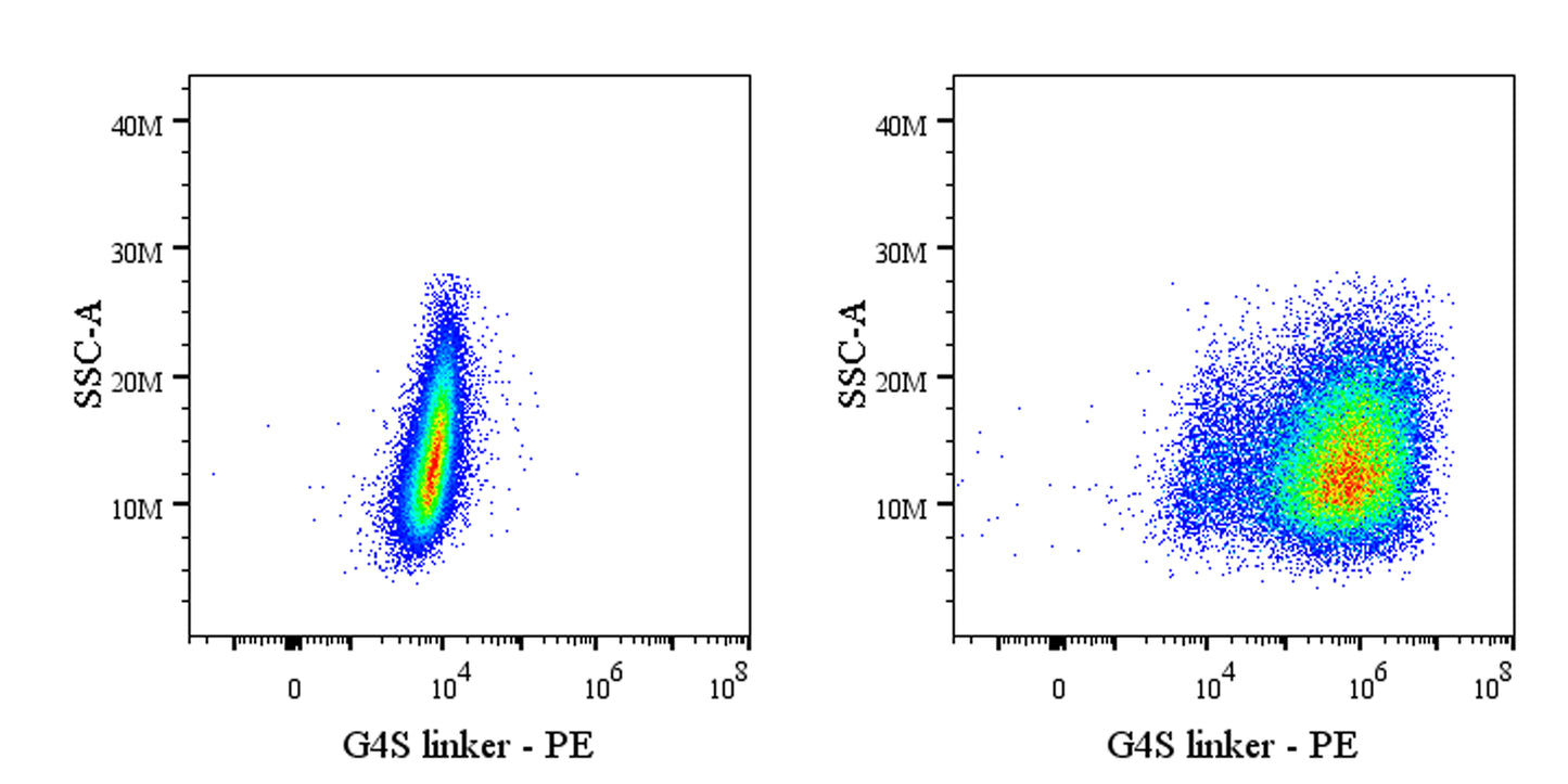 G4S Linker Recombinant Rabbit mAb (PE Conjugate) (S-5030)