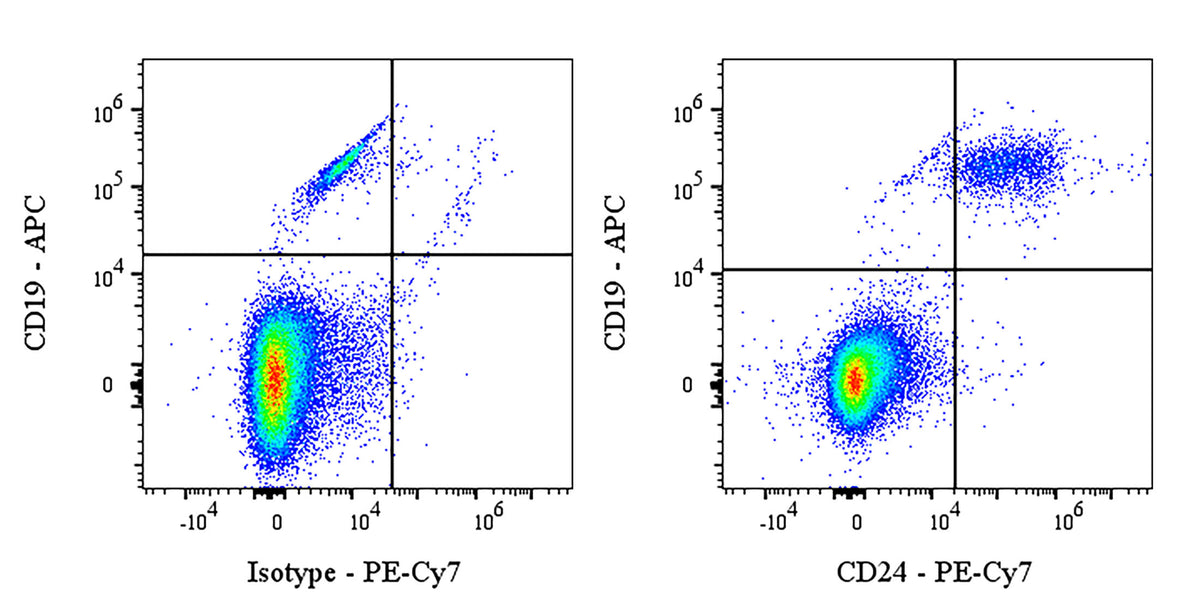 PE-Cy7 Mouse Anti-Human CD24 Antibody (ML5)