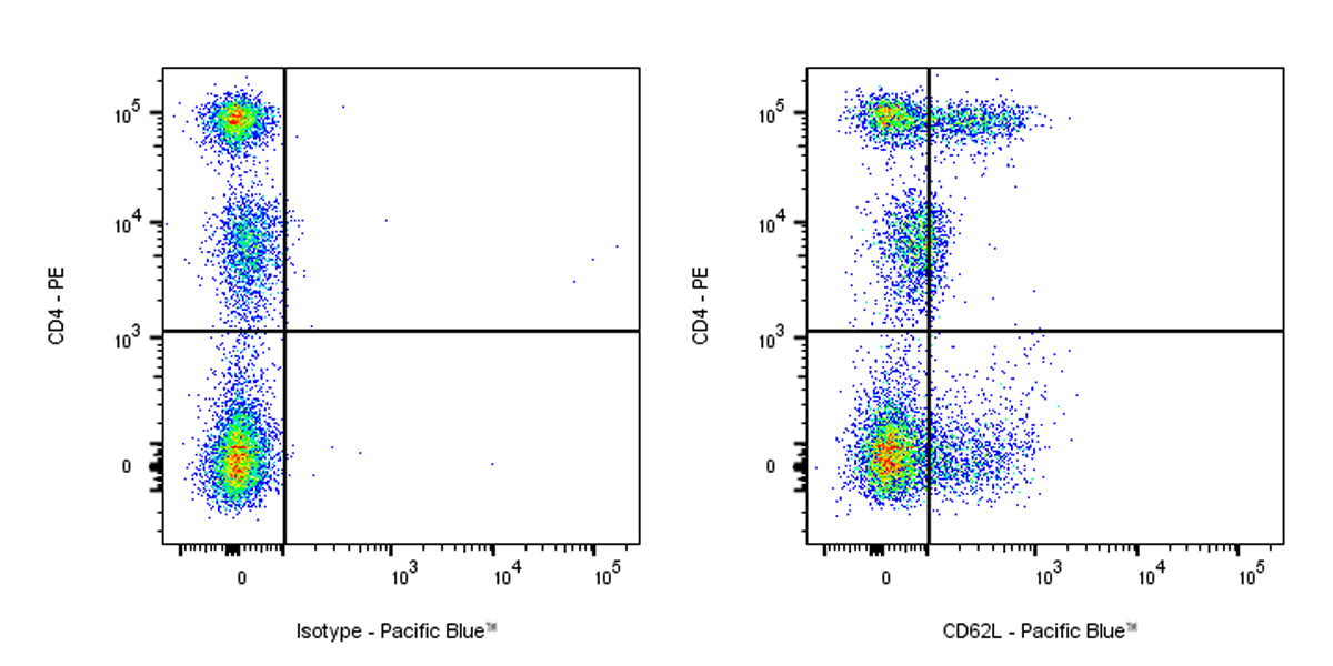 Pacific Blue Mouse Anti-Human CD62L Antibody (S-937-77)