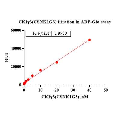 Product image media