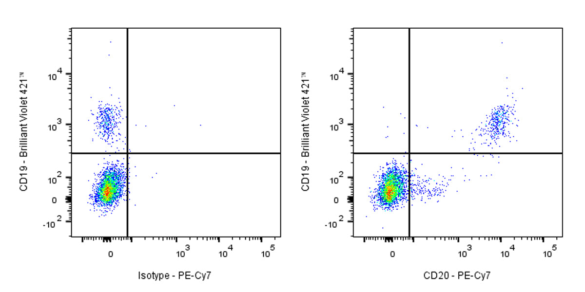 PE-Cy7 Mouse Anti-Human CD20 Antibody (2H7)