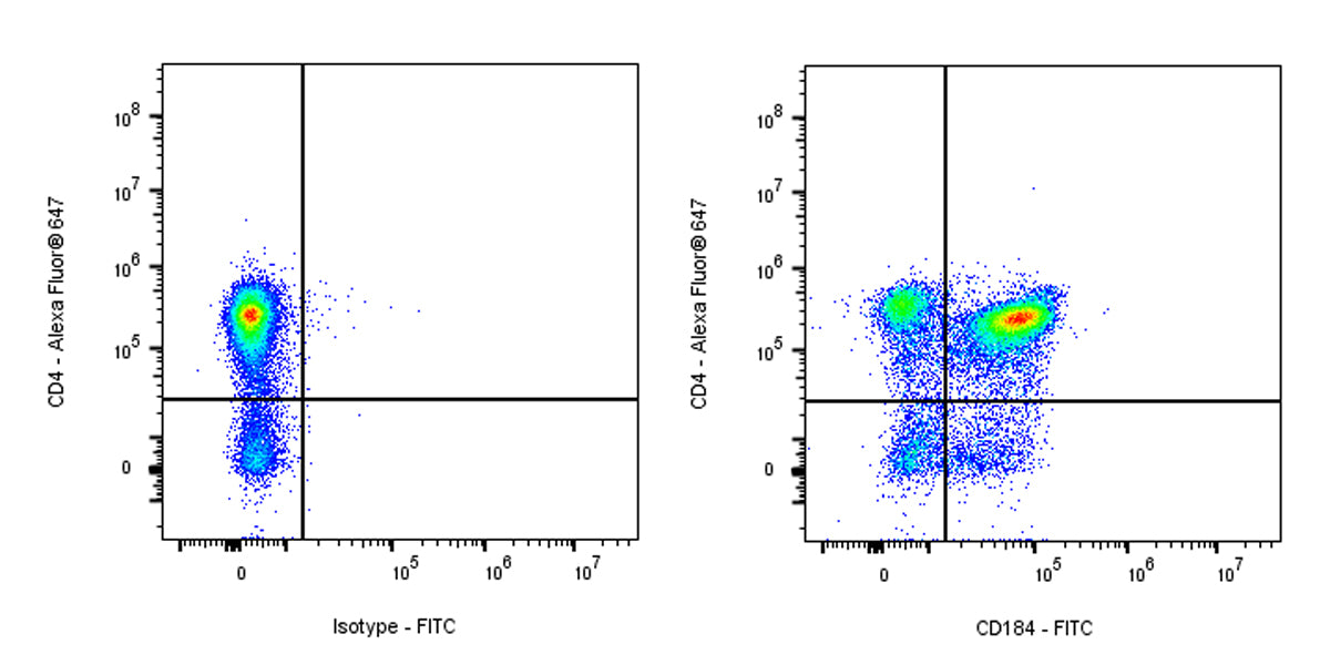 FITC Rat Anti-Mouse CD184 Antibody (S-R670)