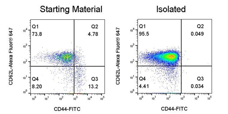 Mouse Naïve CD4+ T Cell Isolation Kit (Column-Free)
