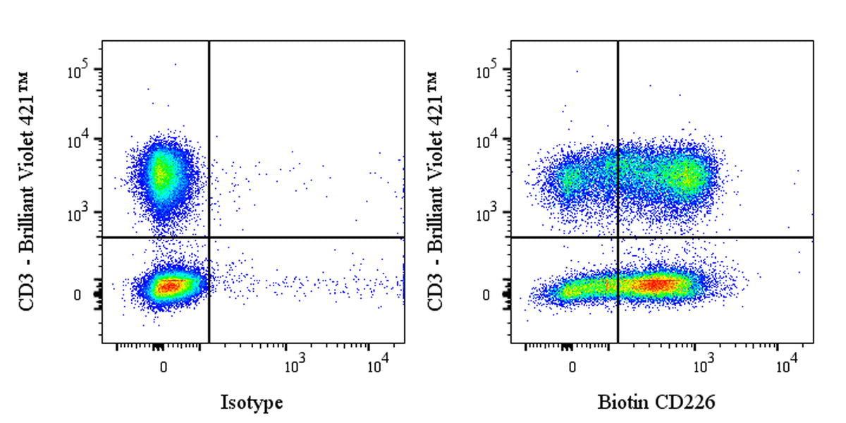Biotin Mouse Anti-Human CD226 Antibody (DX11)