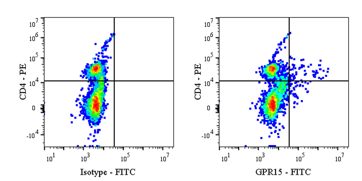 FITC Mouse Anti-Human GPR15 Antibody (S-3534)