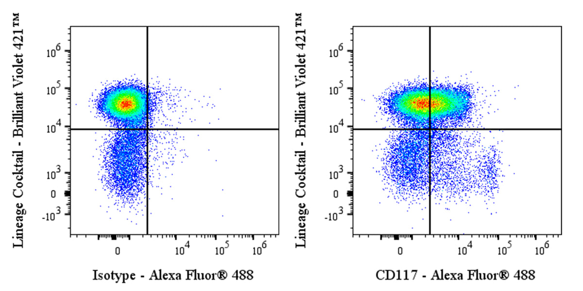 Alexa Fluor® 488 Rat Anti-Mouse c-Kit (CD117) Antibody (ACK2)