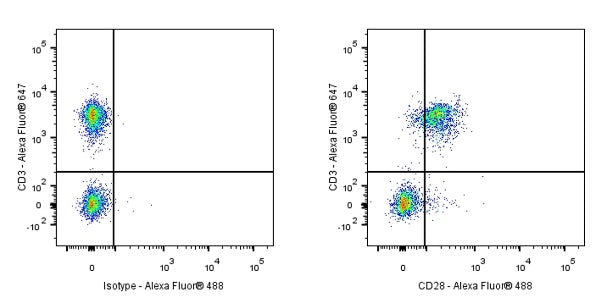 Syrian Hamster Anti-Mouse CD28 Antibody (37.51)