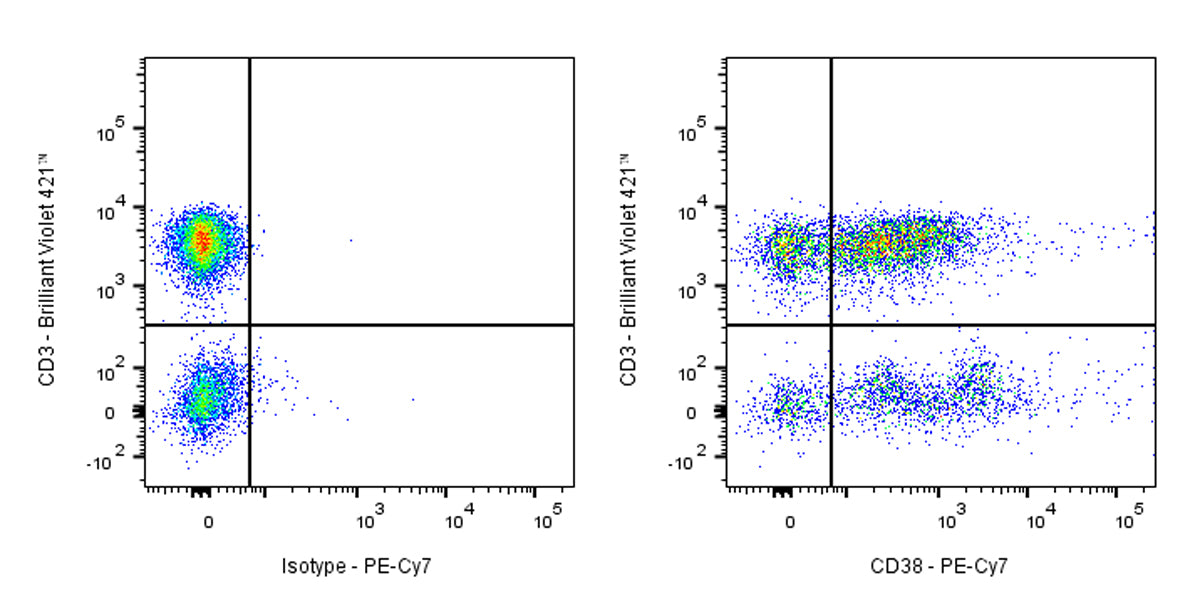 PE-Cy7 Mouse Anti-Human CD38 Antibody (S-R507-1)