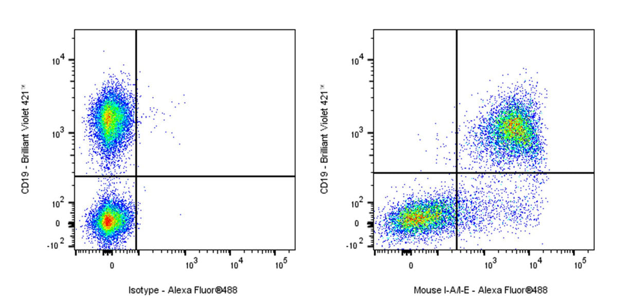 Alexa Fluor® 488 Rat Anti-Mouse I-A/I-E Antibody (M5/114.15.2)